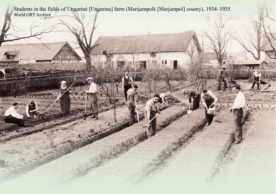 Students in the fields of Ungurinė [Ungarina] farm (Marijampolė [Marjampol] county), 1934�1935. World ORT Archive